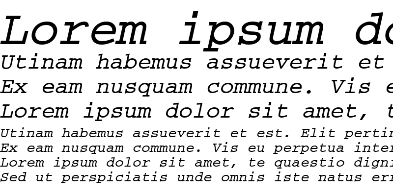 Sample of CourierMEE Bold Italic