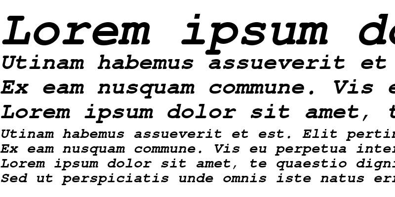 Sample of CourierSH Bold Oblique