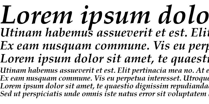 Sample of Criteria SSi Bold Italic