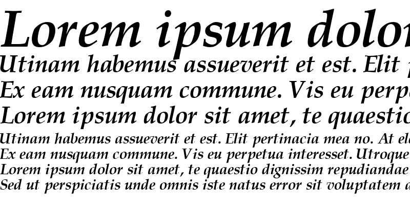 Sample of CriteriaSSK Bold Italic