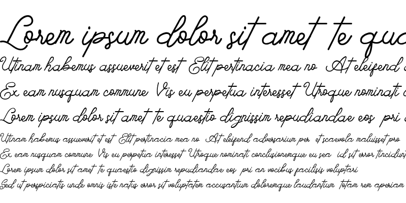 Sample of DastingttonPersonal