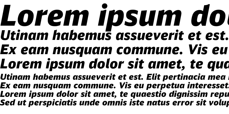Sample of DB Sans Alternate Black Italic