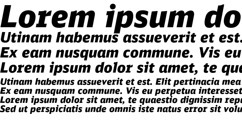 Sample of DB Sans Black Italic