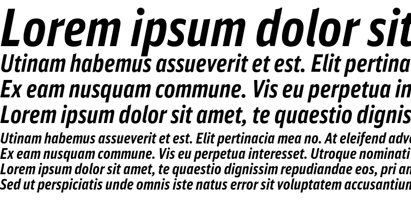 Sample of DB Sans Comp Altern Bold Italic