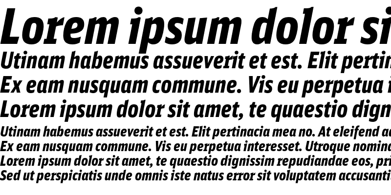 Sample of DB Sans Comp Black Italic