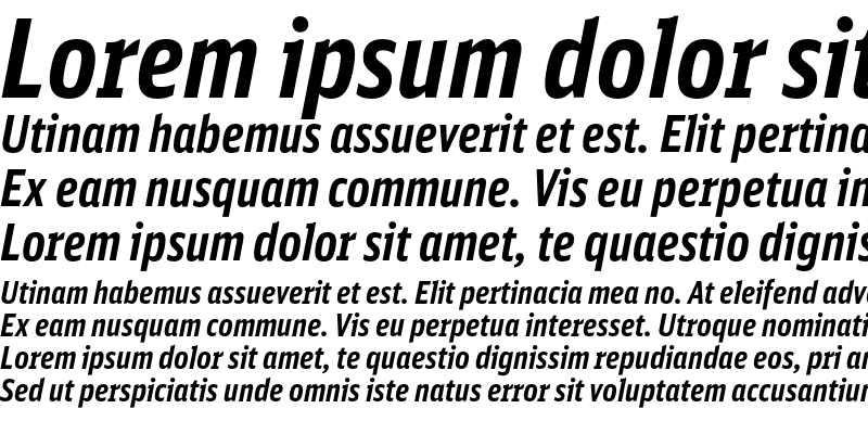 Sample of DB Sans Comp Bold Italic