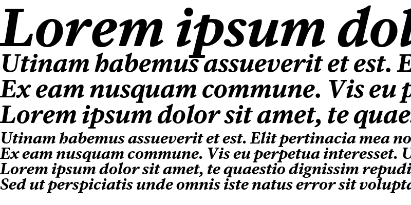 Sample of DB Serif Bold Italic