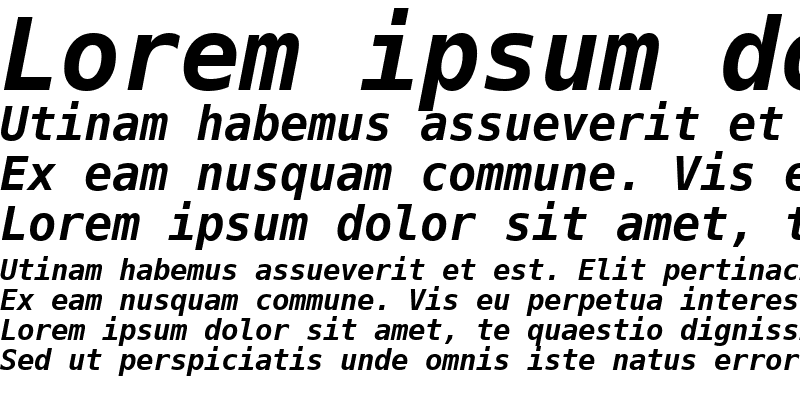 Sample of DejaVu Sans Mono Bold Oblique