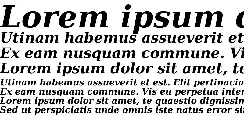 Sample of DejaVu Serif Bold Italic