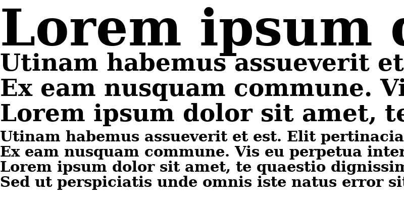 Sample of DejaVu Serif Bold