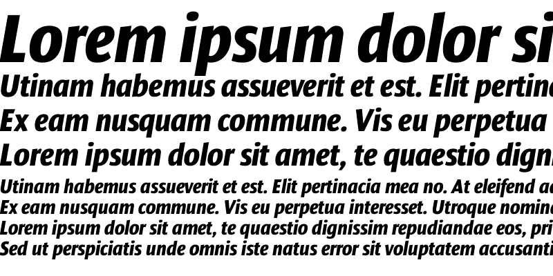 Sample of DendaNewBlackCondC Italic