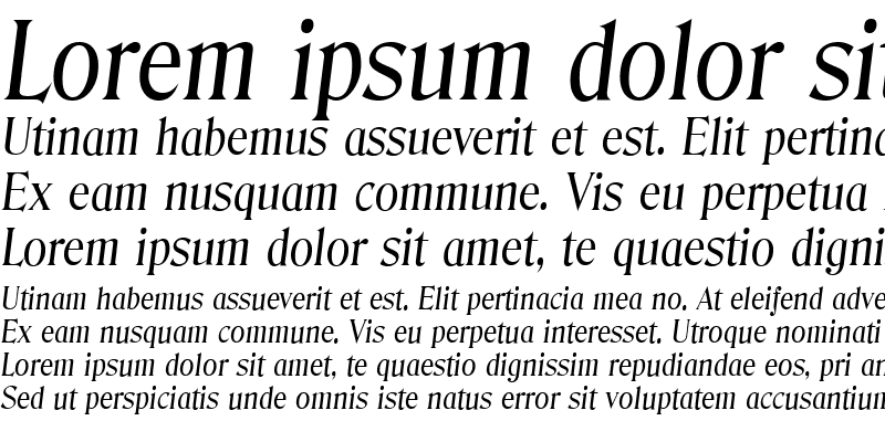 Sample of DenverSerial Italic