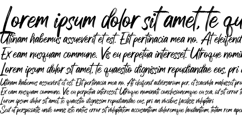 Sample of Dexotick By Dhan Studio