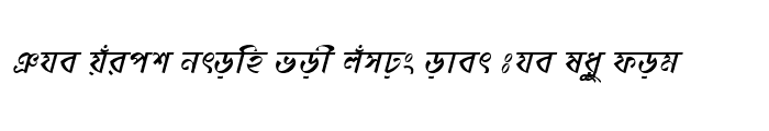 Preview of DhonooMJ Italic