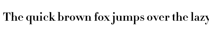 Preview of Didot Bold