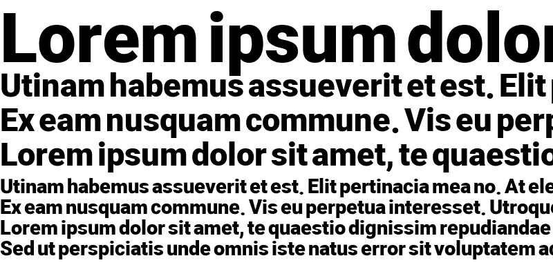 Sample of DimaMoalem