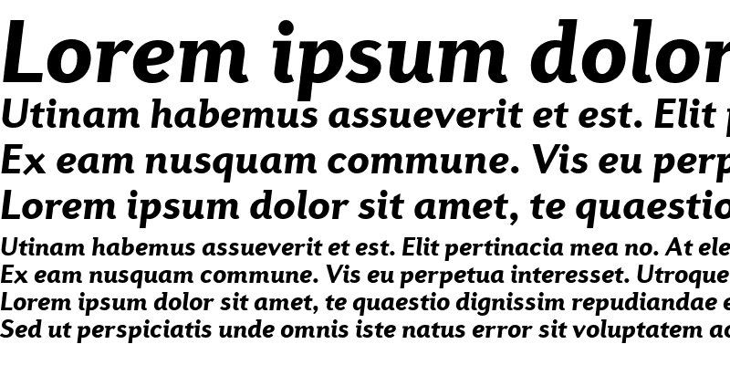Sample of Diverda Sans Com Black Italic