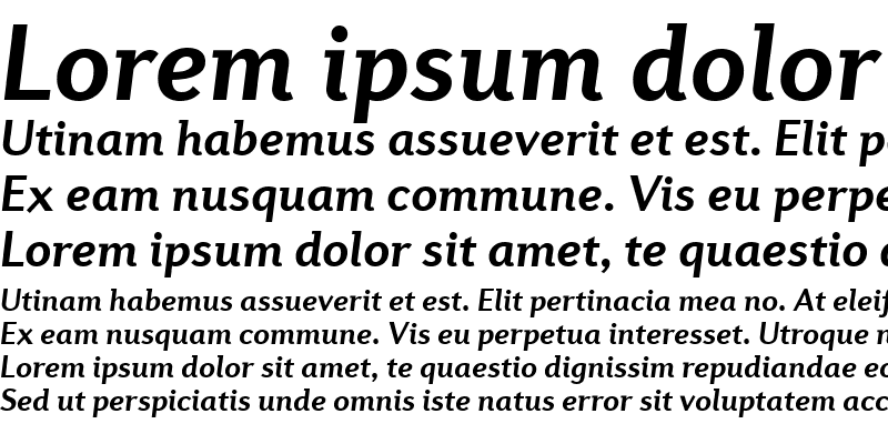 Sample of Diverda Sans Com Bold Italic