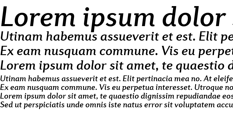 Sample of Diverda Sans Com Medium Italic