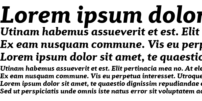 Sample of Diverda Serif Com Black Italic