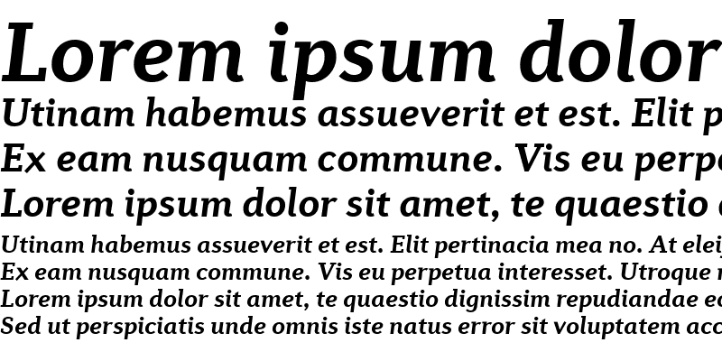 Sample of Diverda Serif Com Bold Italic