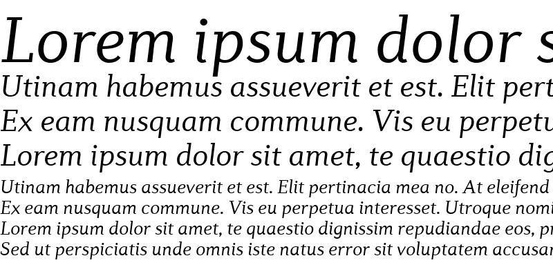 Sample of Diverda Serif Com Light Italic