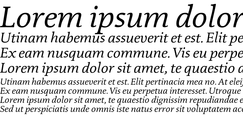 Sample of Documenta Dtl Italic