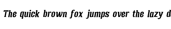 Preview of Doland Italic