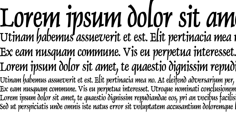 Sample of Dolphin Condensed Bold