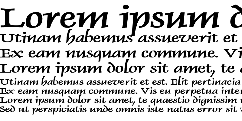 Sample of Dolphin Extended Bold