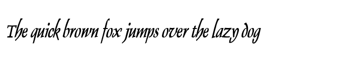 Preview of Dolphin Thin Bold Italic