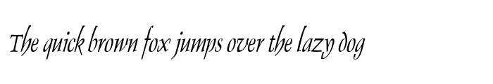 Preview of Dolphin Thin Italic