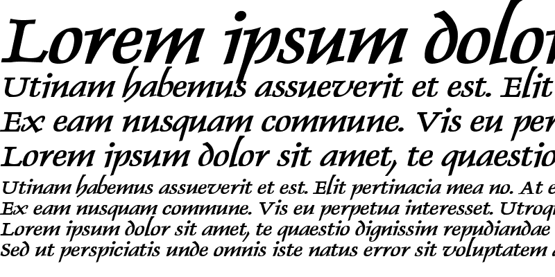Sample of Dolphin Wide Bold Italic