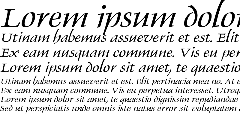 Sample of Dolphin Wide Italic