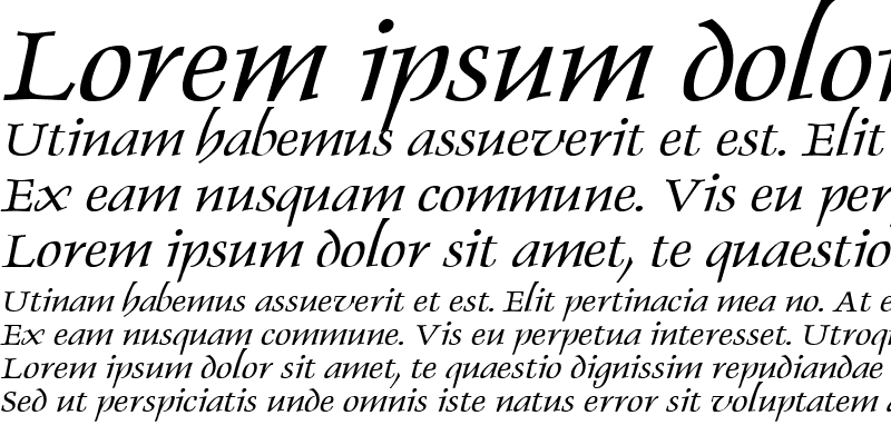 Sample of DolphinWide Italic