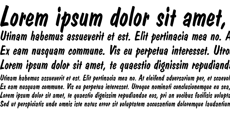 Sample of DomCasual Becker Italic