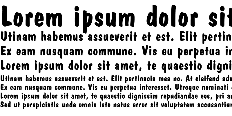 Sample of DomCasual Bold