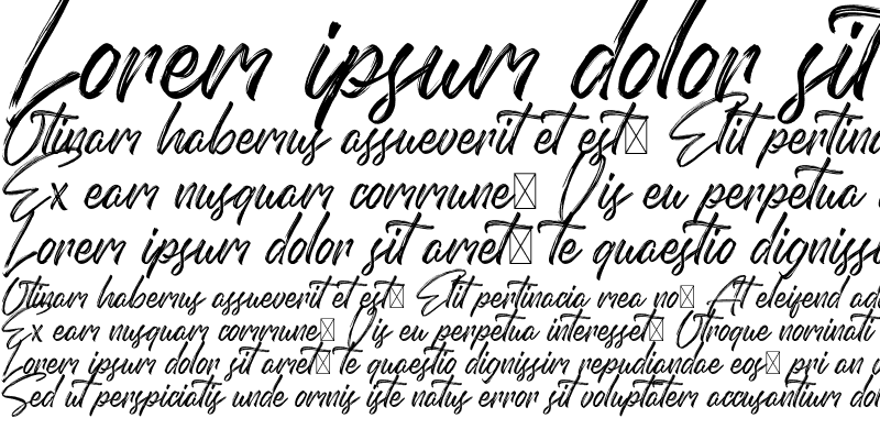 Sample of Domillion Brush Free