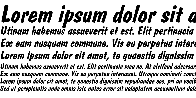 Sample of Domkrat Bold Italic