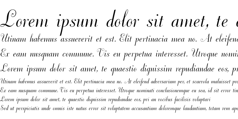 Sample of DorchesterScriptMT RomanItalic