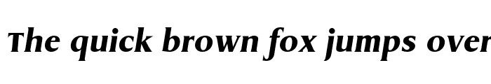Preview of DragonEF ExtraBold Italic