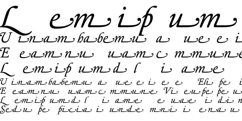 Sample of DTL Elzevir T Book Swash Italic