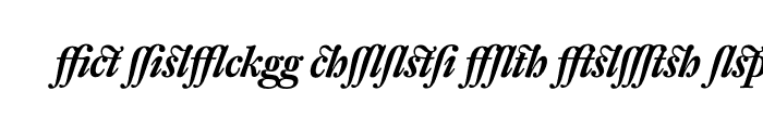 Preview of DTL Fleischmann Display Bold Italic