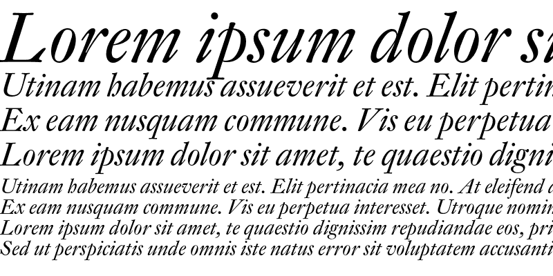 Sample of DTL Fleischmann SD Italic