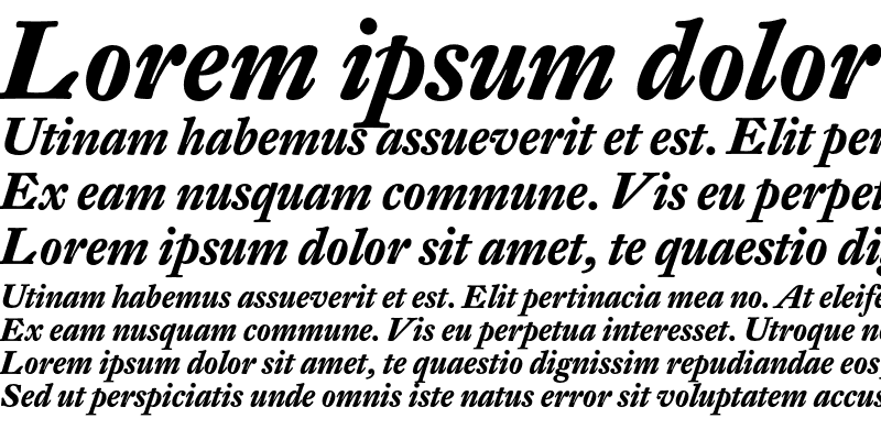 Sample of DTL Fleischmann ST Bold Italic
