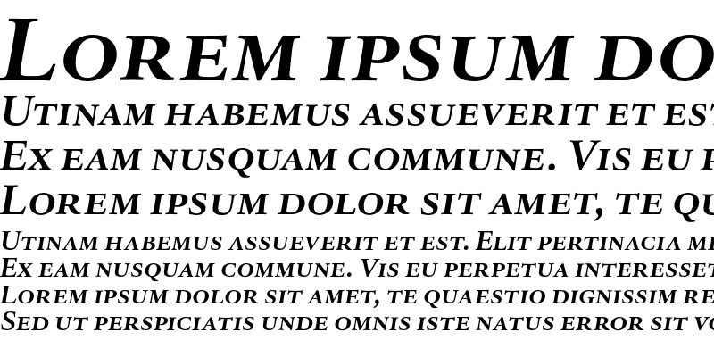 Sample of DTL Haarlemmer D Caps Bold Italic