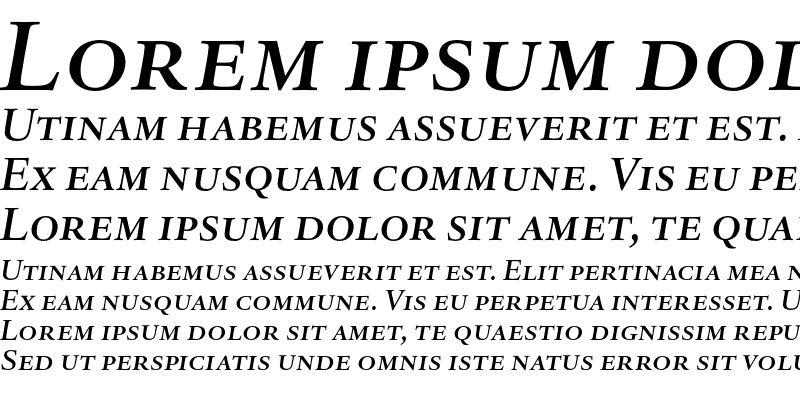 Sample of DTL Haarlemmer D Caps Medium Italic