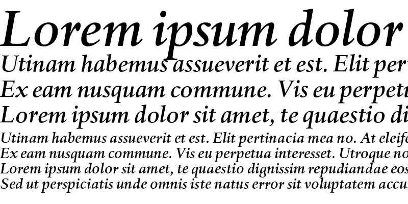 Sample of DTL Haarlemmer D Medium Italic
