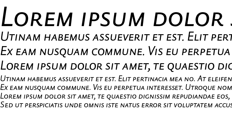 Sample of DTL Haarlemmer D Sans Caps Italic