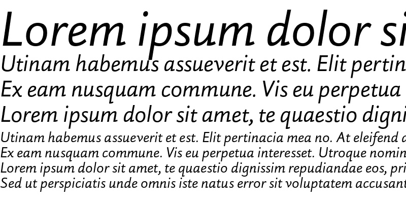 Sample of DTL Haarlemmer D Sans Italic